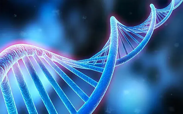 MicroRNA Agomir/Antagomir分类产品图示
